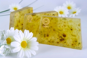 Camomile